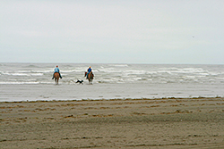 beach