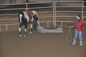 TarpworkCalmInside