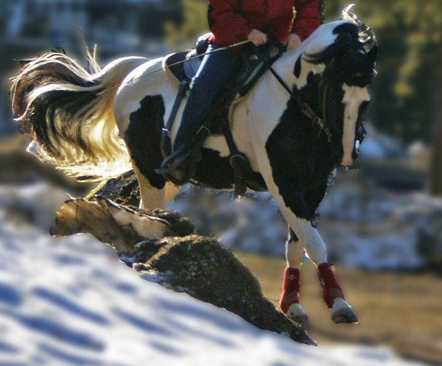 NewRowdyRiding